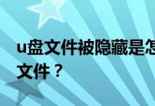 u盘文件被隐藏是怎么回事？如何恢复隐藏的文件？