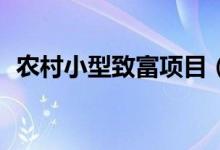 农村小型致富项目（19个农村致富小项目）