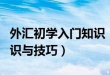 外汇初学入门知识（外汇新手入门基础操作知识与技巧）