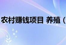 农村赚钱项目 养殖（农村养殖种植赚钱项目）