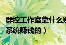 群控工作室靠什么赚钱（高手是如何利用群控系统赚钱的）