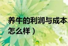 养牛的利润与成本2019（养牛的利润与成本怎么样）