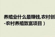 养殖业什么最赚钱，农村创业项目推荐（现在养殖什么最赚钱-农村养殖致富项目）