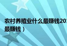 农村养殖业什么最赚钱2017年养兔赚钱吗（农村养殖业什么最赚钱）