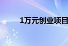 1万元创业项目（1万元创业项目）