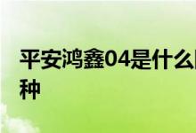 平安鸿鑫04是什么险种 平安鸿利04是什么险种