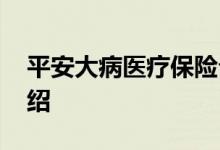 平安大病医疗保险介绍 平安大病医疗保险介绍