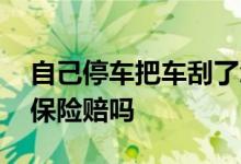 自己停车把车刮了怎么报保险 路边停车被刮保险赔吗