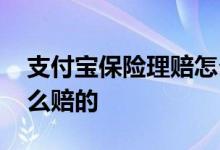 支付宝保险理赔怎么赔的 支付宝保险理赔怎么赔的