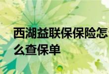 西湖益联保保险怎么投保 西湖益联保保险怎么查保单