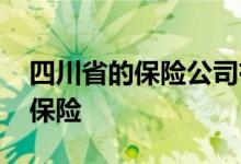 四川省的保险公司有哪些 四川川安保是什么保险