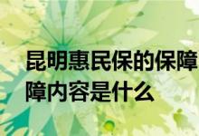 昆明惠民保的保障内容 云南红河惠民保的保障内容是什么