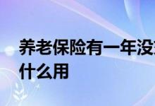 养老保险有一年没交有什么影响 养老保险有什么用