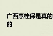 广西惠桂保是真的吗 广西惠桂保是哪家公司的