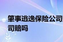 肇事逃逸保险公司赔付标准 肇事逃逸保险公司赔吗