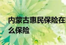 内蒙古惠民保险在哪交 内蒙古惠民保险是什么保险