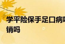 学平险保手足口病吗? 学平险手足口病可以报销吗