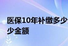 医保10年补缴多少金额武汉 医保10年补缴多少金额