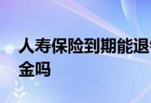 人寿保险到期能退钱吗 人寿保险到期能退本金吗