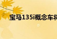  宝马135i概念车将在日内瓦车展上亮相 