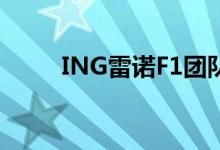  ING雷诺F1团队在葡萄牙发布R29 