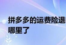 拼多多的运费险退哪里了 拼多多的运费险退哪里了