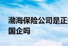 渤海保险公司是正规公司吗 渤海保险公司是国企吗