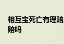 相互宝死亡有理赔成功的吗 相互宝人死了有赔吗