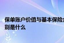 保单账户价值与基本保险金额区别 保单价值和保险金额的区别是什么