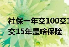 社保一年交100交15年，最后得多少 一年100交15年是啥保险