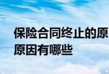 保险合同终止的原因有哪些 保险合同终止的原因有哪些