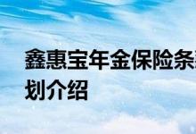 鑫惠宝年金保险条款 惠鑫宝年金理财保险计划介绍