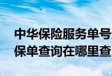 中华保险服务单号查询 国华传家福终身寿险保单查询在哪里查