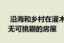  沿海和乡村在灌木丛中或在海边待售的五套无可挑剔的房屋 