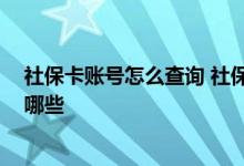 社保卡账号怎么查询 社保卡账户信息如何查询 查询方式有哪些