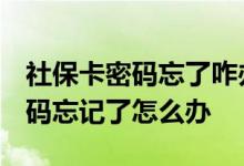 社保卡密码忘了咋办呢 社保卡有几个密码 密码忘记了怎么办