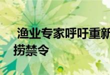  渔业专家呼吁重新考虑海事国家的季节性捕捞禁令 