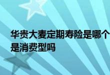 华贵大麦定期寿险是哪个保险公司 华贵大麦2020定期寿险是消费型吗