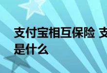 支付宝相互保险 支付宝相互宝计划投保规则是什么