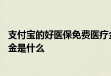 支付宝的好医保免费医疗金怎么用 支付宝的好医保免费医疗金是什么