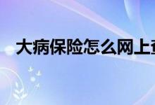 大病保险怎么网上查询 大病保险怎么申请