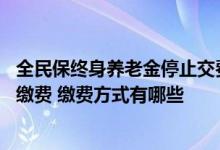 全民保终身养老金停止交费 支付保的全民保终身养老金怎么缴费 缴费方式有哪些