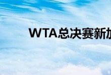  WTA总决赛新加坡站最后一场比赛 