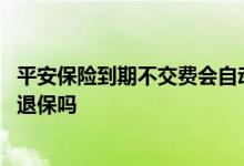 平安保险到期不交费会自动退保吗 平安保险到期不交费等于退保吗