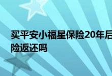 买平安小福星保险20年后保费还退吗 平安小福星20终身寿险返还吗