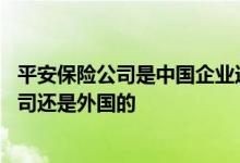 平安保险公司是中国企业还是外国企业 平安保险是中国的公司还是外国的