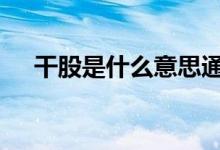  干股是什么意思通俗点 干股是什么意思 