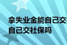 拿失业金能自己交社保吗多少钱 拿失业金能自己交社保吗