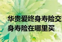 华贵爱终身寿险交满后可以取出吗 华贵爱终身寿险在哪里买