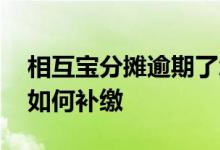 相互宝分摊逾期了怎么还 相互宝分摊逾期后如何补缴